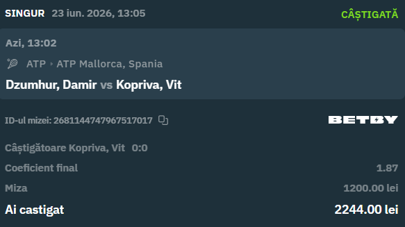 Bilet câștigat Dzumhur vs Kopriva